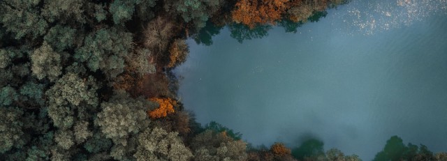 Drents Bos + meer.jpg